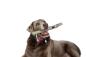 Preview: DOOG Family Stick Neu - Twiggy Preview: DOOG Family Stick Neu - Twiggy